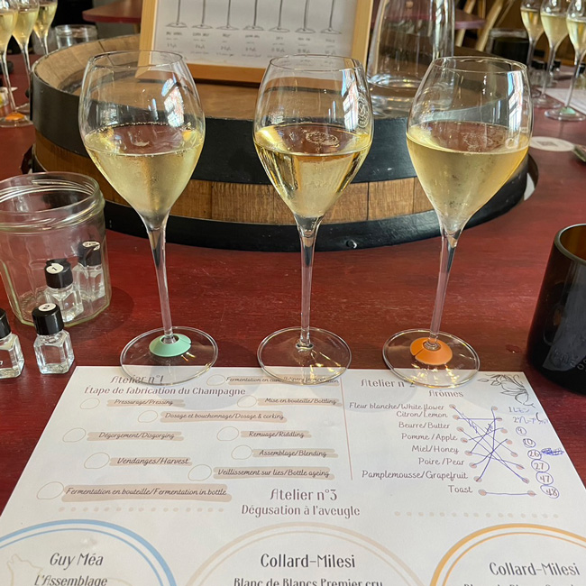 浜松英会話アカデミー　海外旅行体験　生徒さんの声