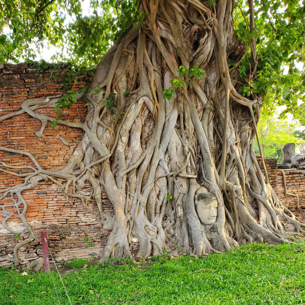 浜松英会話アカデミー　海外旅行体験　生徒さんの声