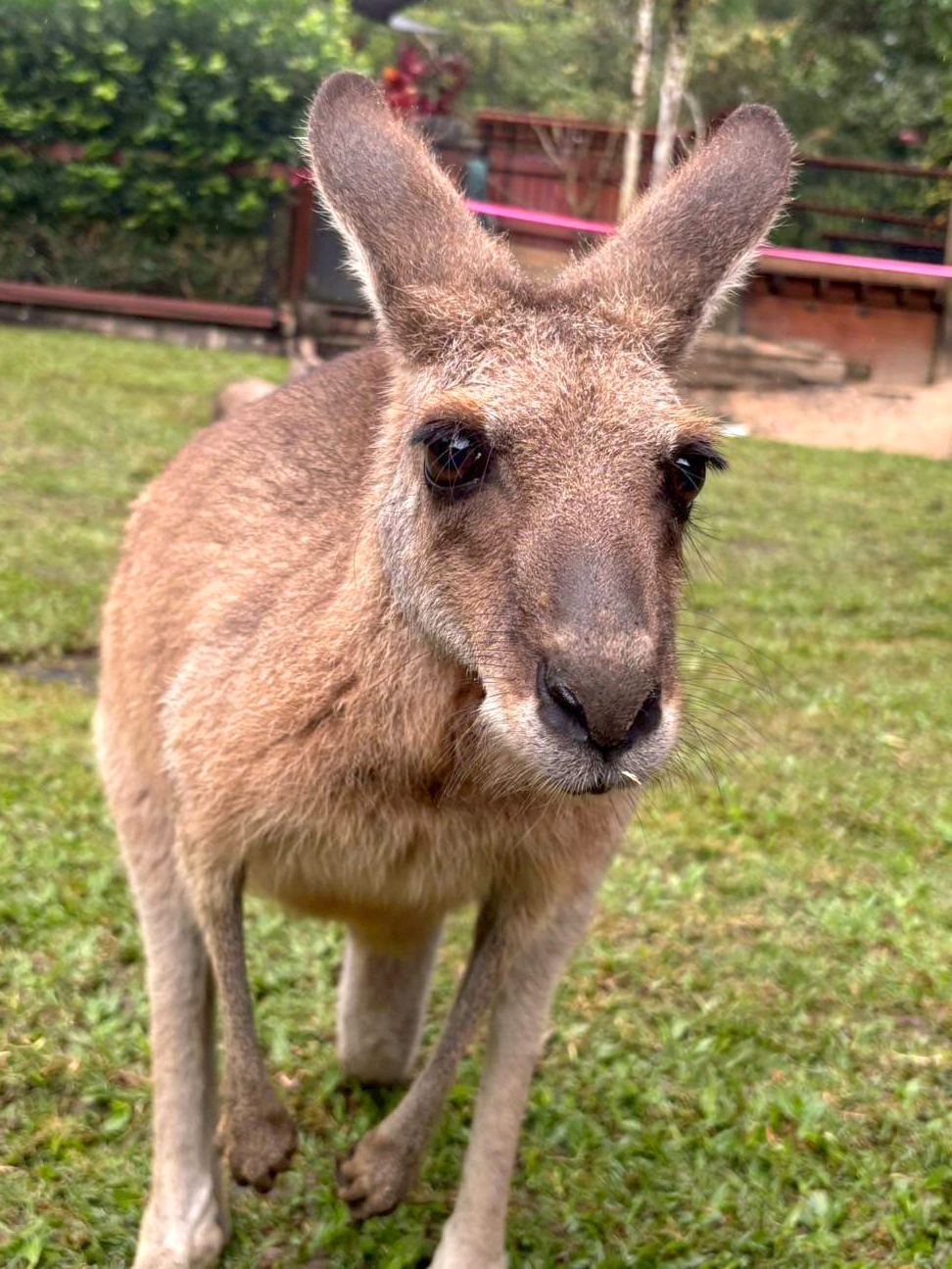 浜松英会話アカデミー　海外旅行体験　生徒さんの声